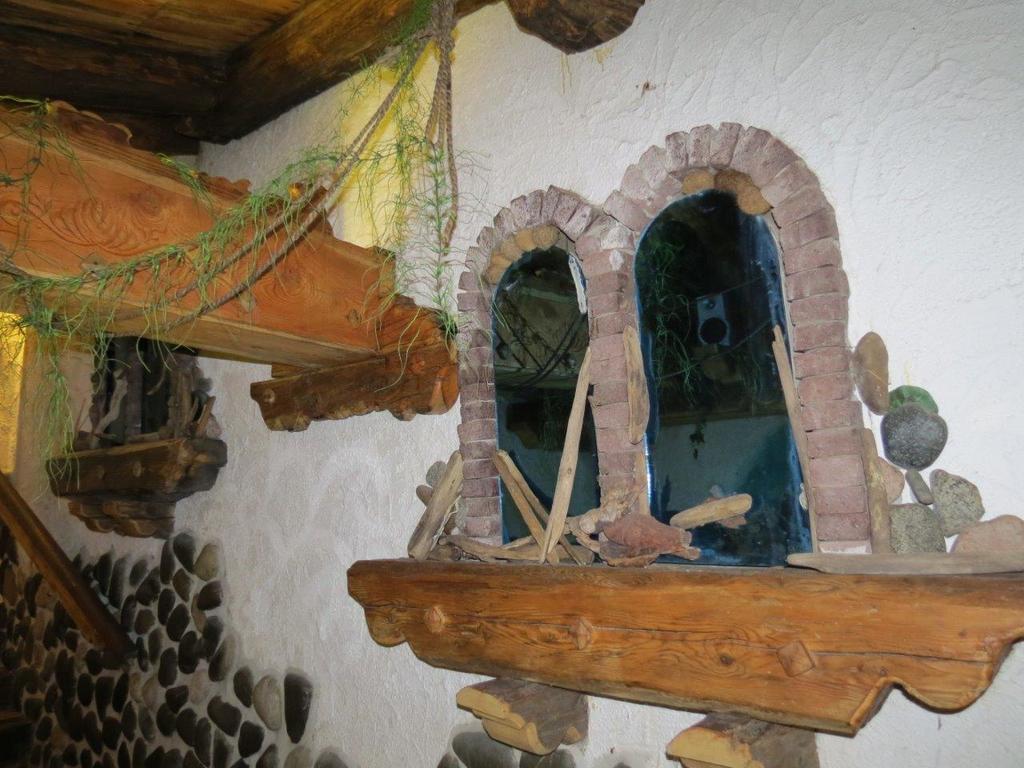 Hotel Ancora Castello-Molina di Fiemme Dış mekan fotoğraf