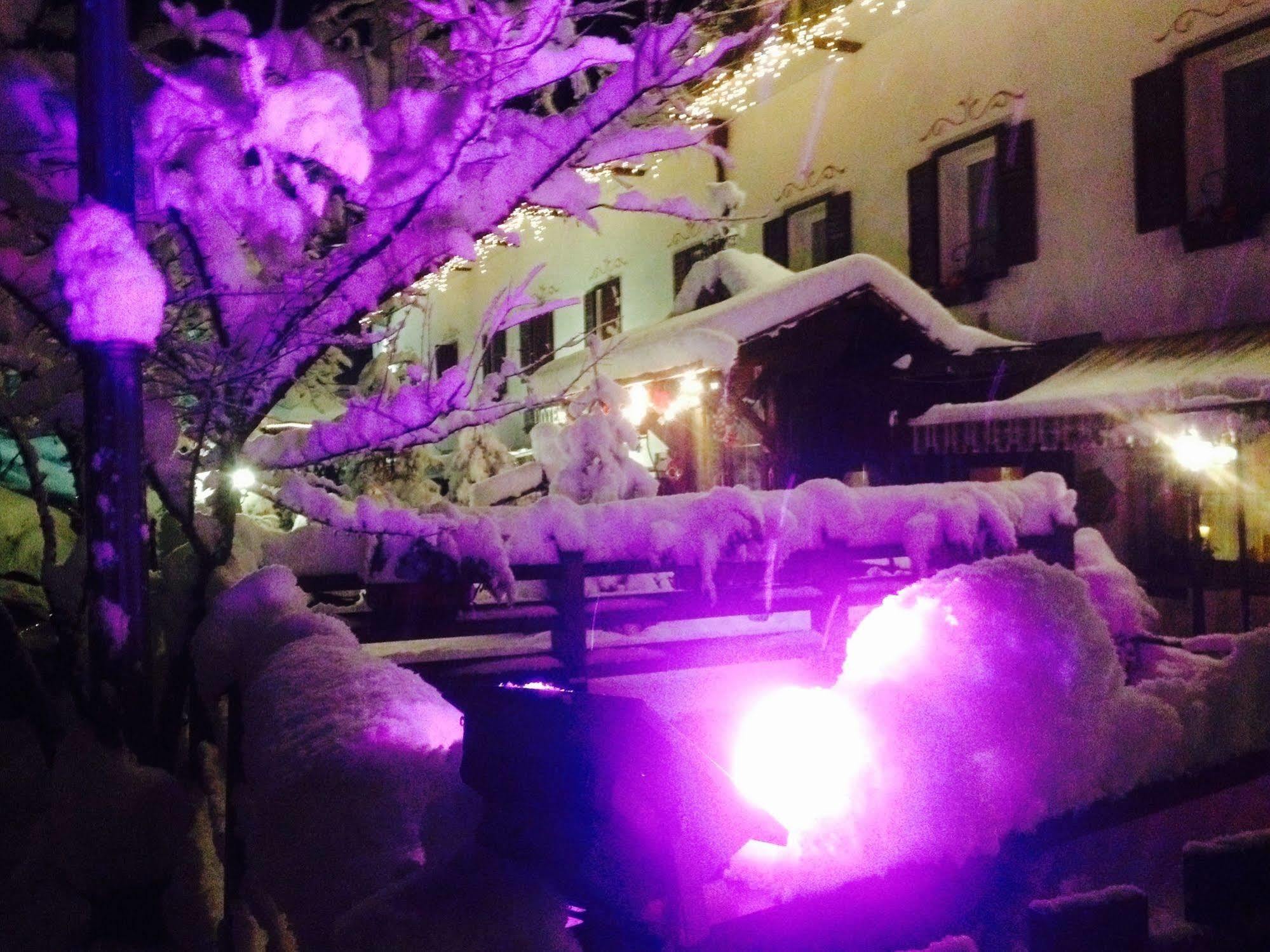 Hotel Ancora Castello-Molina di Fiemme Dış mekan fotoğraf
