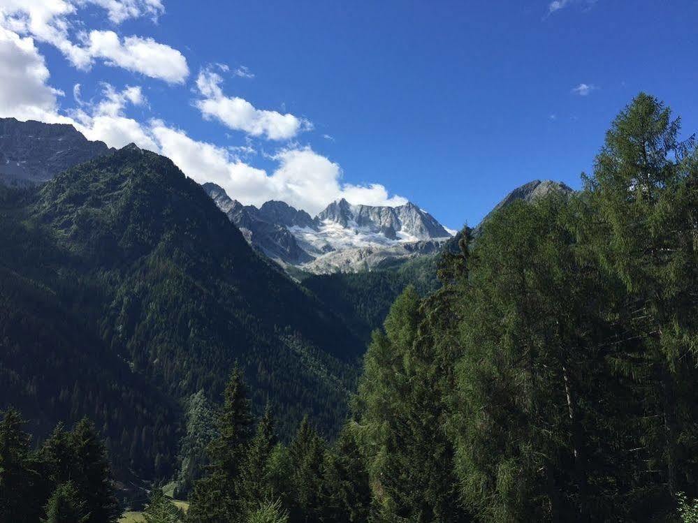 Hotel Ancora Castello-Molina di Fiemme Dış mekan fotoğraf