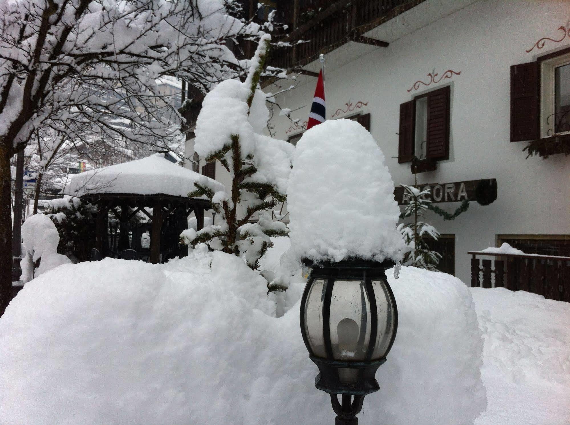 Hotel Ancora Castello-Molina di Fiemme Dış mekan fotoğraf